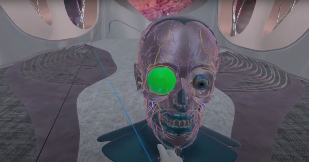 XReady Lab VR education: VR Human eye laboratory