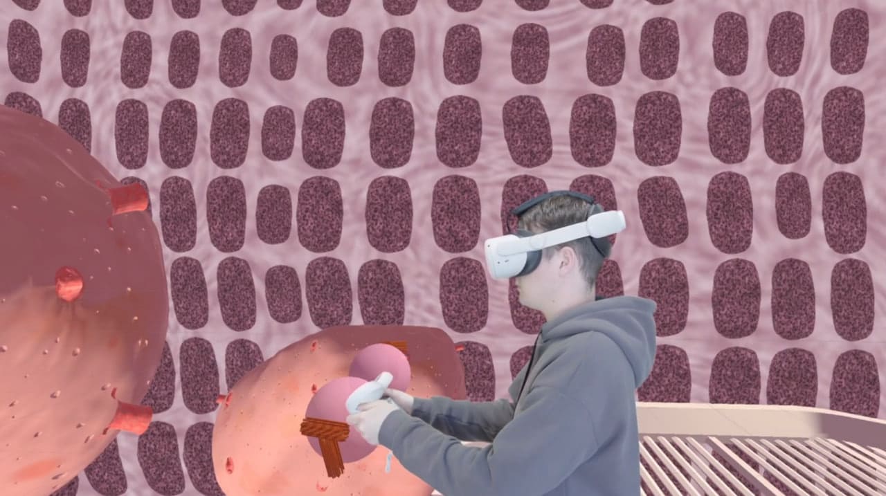 XReady Lab VR Mitosis: Boosting Complex Biology Learning Through Motor Memory and Active Participation-preview-image