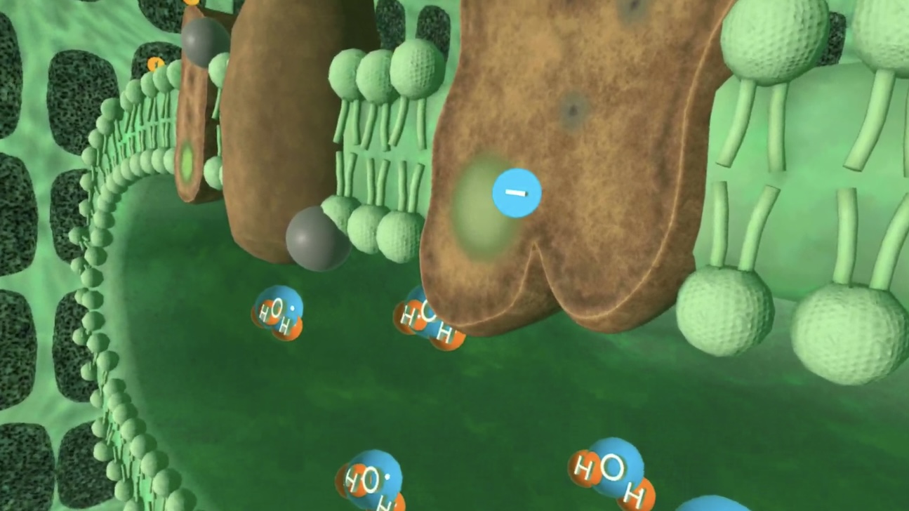 Unlocking the Secrets of Photosynthesis with Virtual Reality: Revolutionizing Biology Education-preview-image