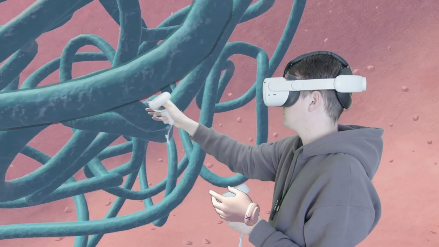 Mastering Mitosis with XReady Lab VR: Revolutionizing Biology Education-preview-image