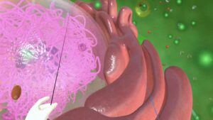 Plant Cell Structure: An Immersive Learning Experience